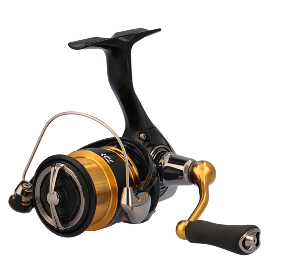 Daiwa Legalis 2024 - immagine 4