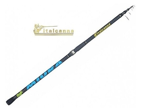 ITALCANNA CANNA MIURA 4.20mt 140gr.