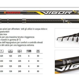 TRABUCCO VIGOR T-MATCH 4.5 mt - 50gr