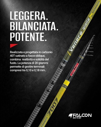 CANNA FALCON VENERE BOLO - immagine 11