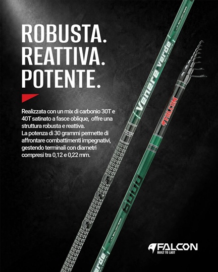 CANNA FALCON VENERE BOLO - immagine 14